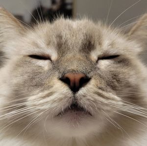 Meet your Posher, Lyndsey